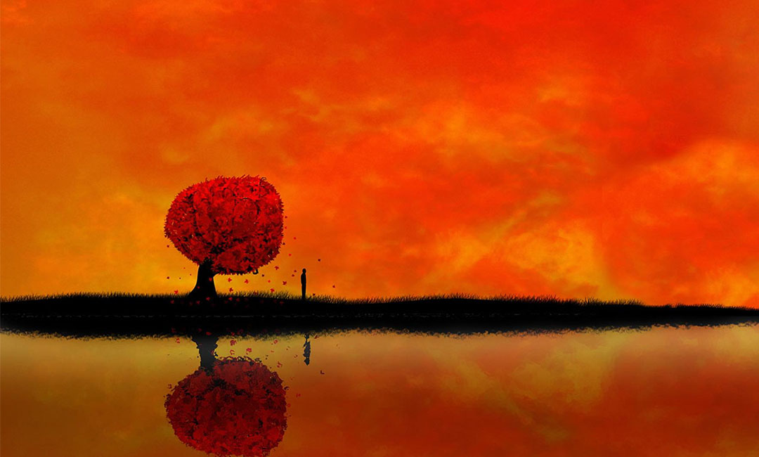 安徽笙影微信朋友圈转发案例